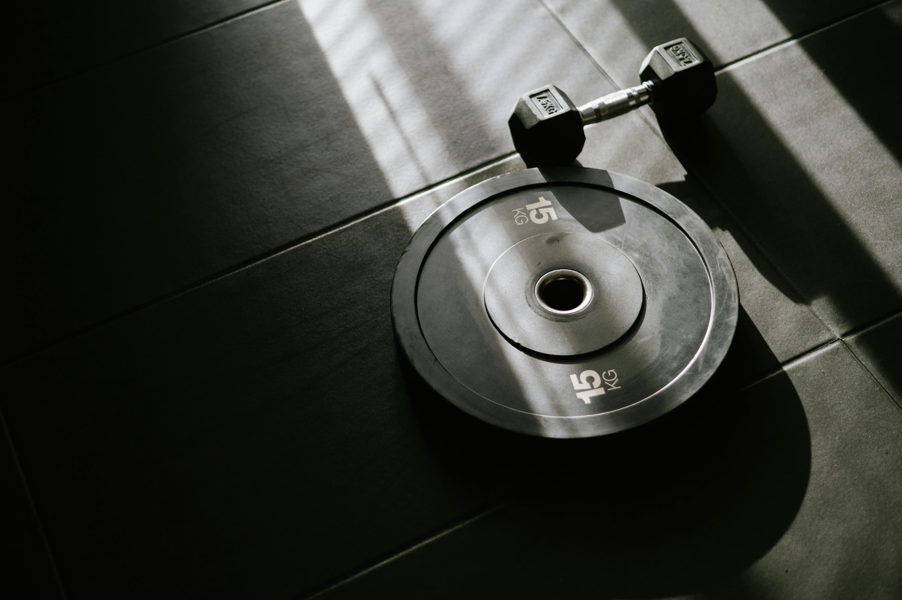 A 15 kg weight plate and dumbbell on a gym floor, lit by sunlight through a window.