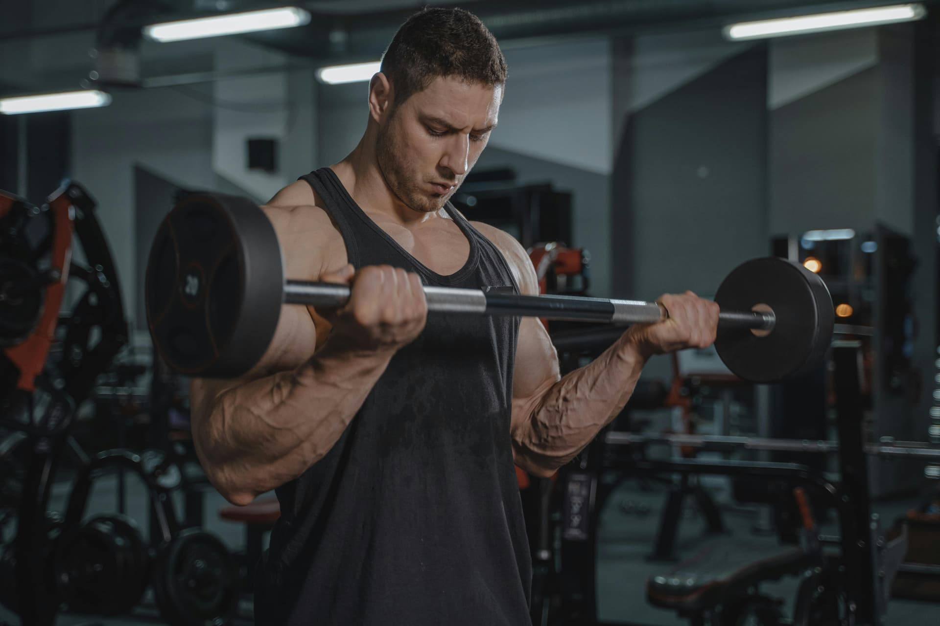 A muscular man lifting barbells in a gym, showcasing strength and fitness.